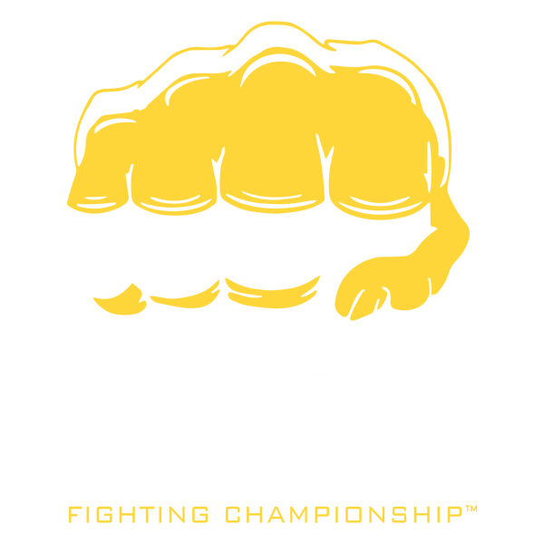 Custom Logo